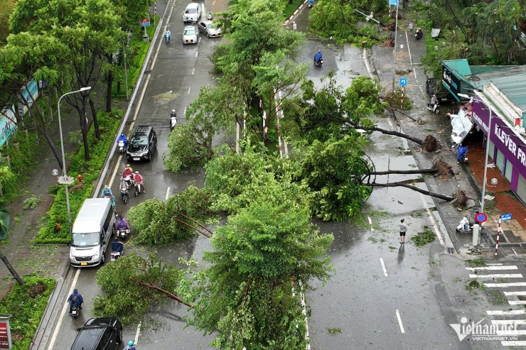 Hà Nội ngổn ngang cây xanh bật gốc, phố xá điêu tàn sau bão Yagi