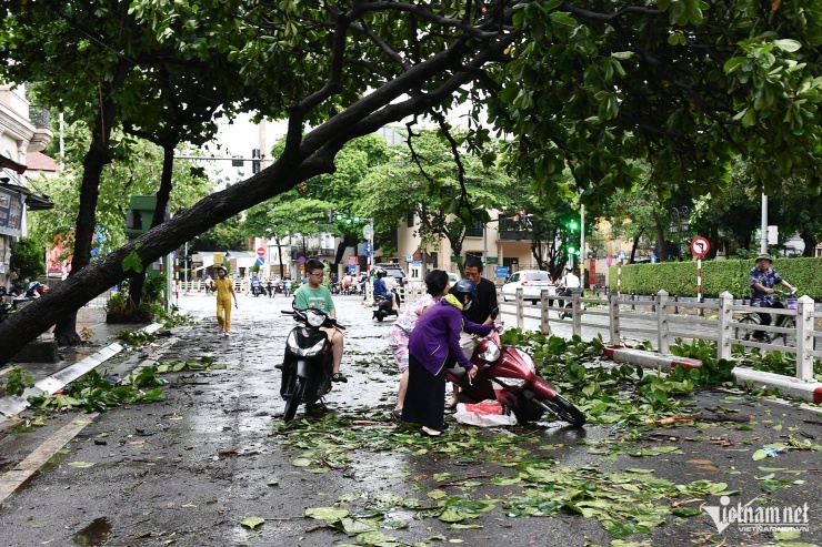 Hà Nội ngổn ngang cây đổ sau bão Yagi, phố đi bộ quanh Hồ Hoàn Kiếm tạm dừng hoạt động