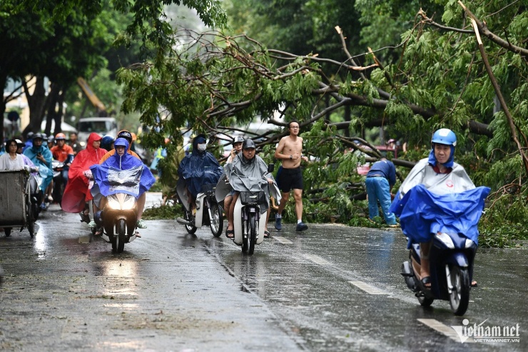 Hà Nội ngổn ngang cây đổ sau bão Yagi, phố đi bộ quanh Hồ Hoàn Kiếm tạm dừng hoạt động