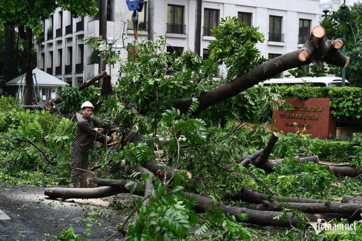 Hà Nội ngổn ngang cây đổ sau bão Yagi, phố đi bộ quanh Hồ Hoàn Kiếm tạm dừng hoạt động