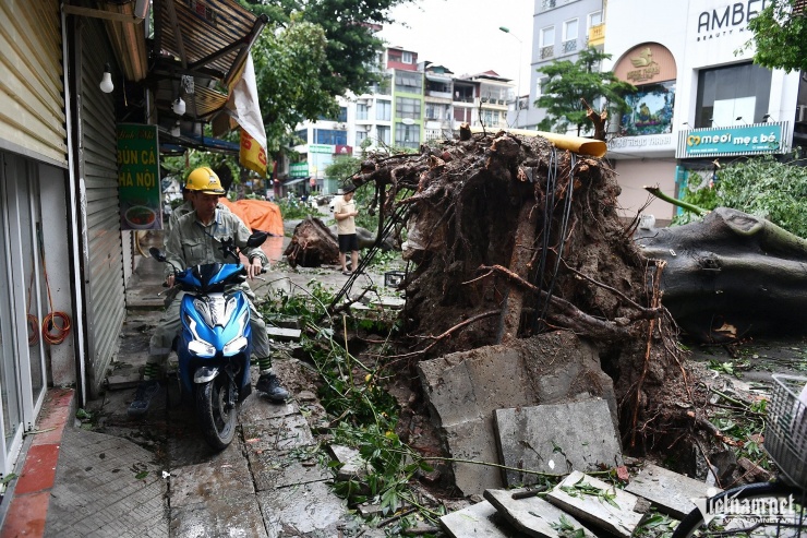 Hà Nội ngổn ngang cây xanh bật gốc, phố xá điêu tàn sau bão Yagi