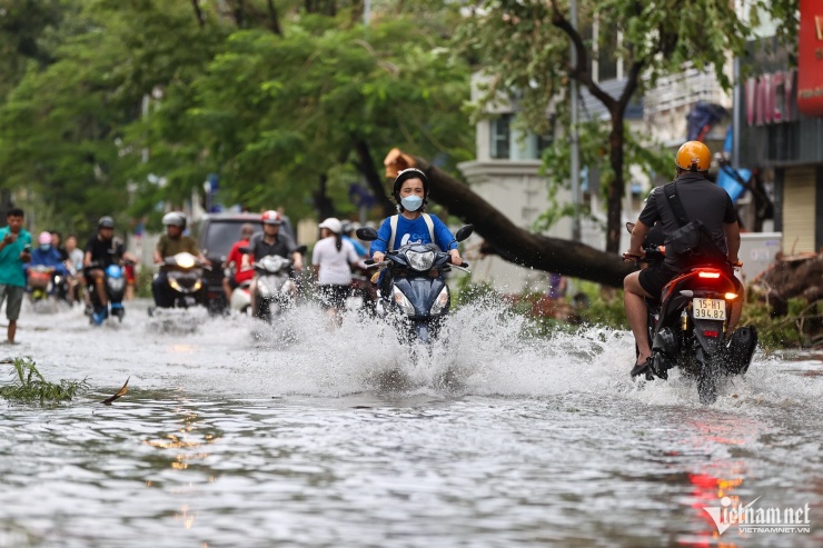 Bão Yagi tàn phá Hải Phòng: Đường phố ngập úng, giao thông ách tắc