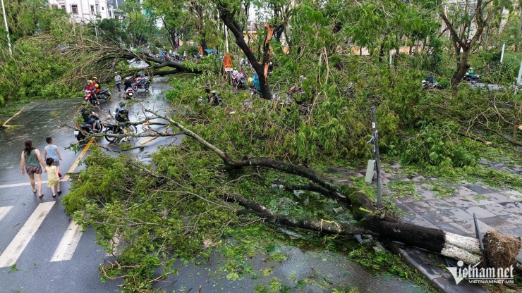 Bão Yagi tàn phá Hải Phòng: Đường phố ngập úng, giao thông ách tắc