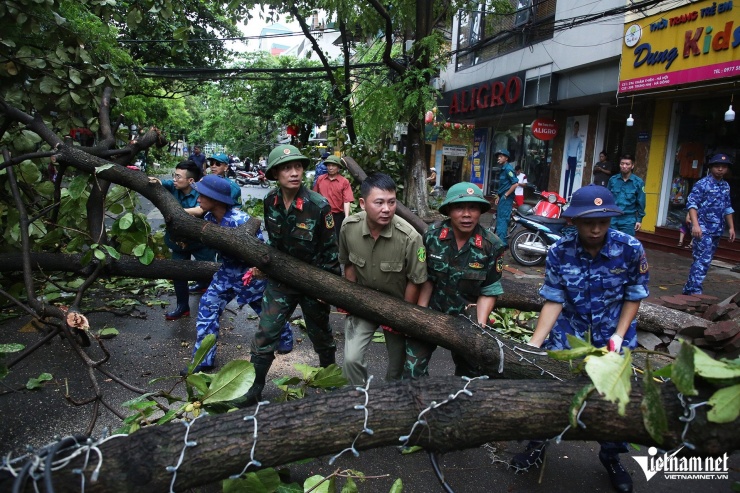 Hà Nội khẩn trương khắc phục hậu quả sau bão Yagi, dọn dẹp cây gãy đổ, cứu hộ ô tô