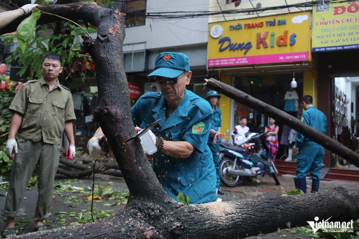 Hà Nội khẩn trương khắc phục hậu quả sau bão Yagi, dọn dẹp cây gãy đổ, cứu hộ ô tô