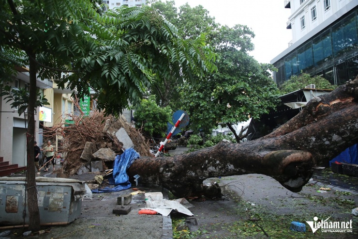 Hà Nội khẩn trương dọn dẹp hậu quả bão Yagi