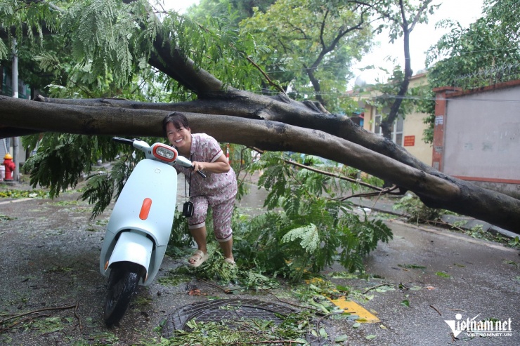 Hà Nội khẩn trương khắc phục hậu quả sau bão Yagi, dọn dẹp cây gãy đổ, cứu hộ ô tô