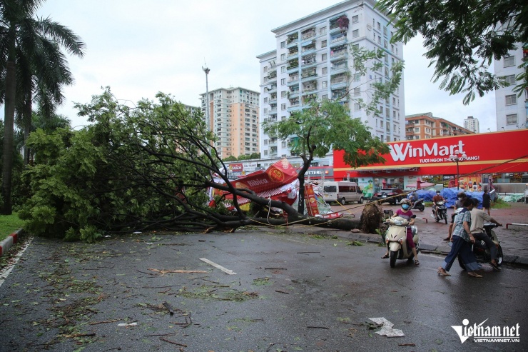 Hà Nội khẩn trương dọn dẹp hậu quả bão Yagi