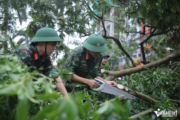 Hà Nội khẩn trương dọn dẹp hậu quả bão Yagi