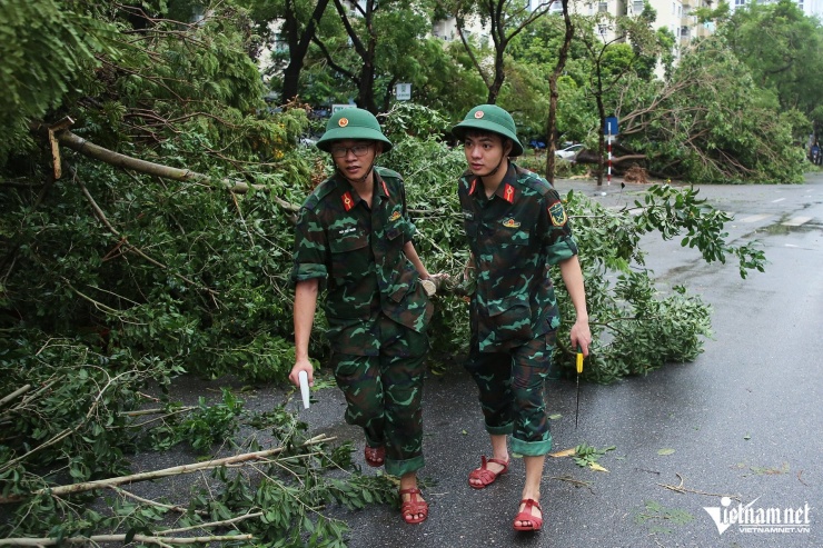 Hà Nội khẩn trương khắc phục hậu quả sau bão Yagi, dọn dẹp cây gãy đổ, cứu hộ ô tô