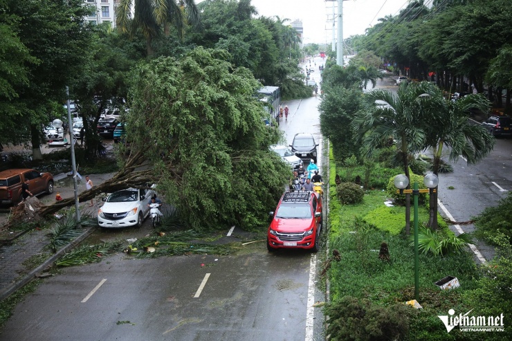 Hà Nội khẩn trương dọn dẹp hậu quả bão Yagi