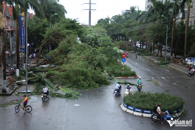 Hà Nội khẩn trương dọn dẹp hậu quả bão Yagi