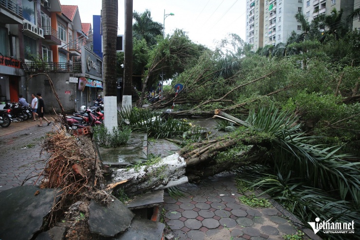 Hà Nội khẩn trương dọn dẹp hậu quả bão Yagi