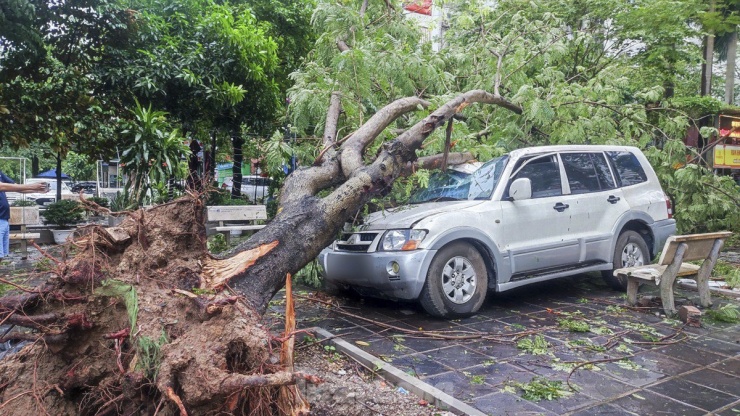 Thảm cảnh bão số 3 tàn phá Hà Nội: Hàng loạt ô tô bị cây cối đè bẹp