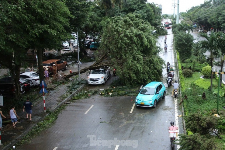 Bão số 3 tàn phá Hà Nội: Ô tô khắp nơi bị cây đè bẹp