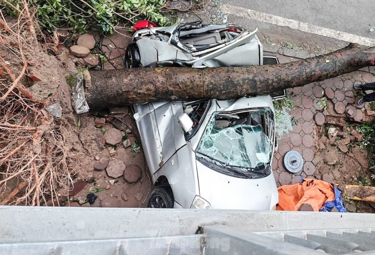 Bão số 3 tàn phá Hà Nội: Ô tô khắp nơi bị cây đè bẹp