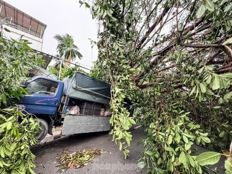 Bão số 3 tàn phá Hà Nội: Ô tô khắp nơi bị cây đè bẹp