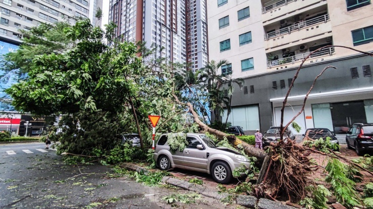 Bão số 3 tàn phá Hà Nội: Ô tô khắp nơi bị cây đè bẹp