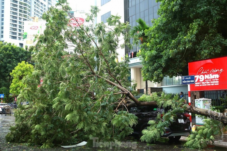 Bão số 3 tàn phá Hà Nội: Ô tô khắp nơi bị cây đè bẹp