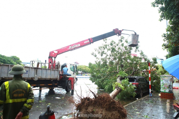 Bão số 3 tàn phá Hà Nội: Ô tô khắp nơi bị cây đè bẹp