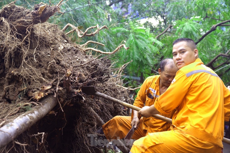 Trường học tại Hà Nội tốc mái, cây xanh đổ gãy tan hoang sau bão - 3