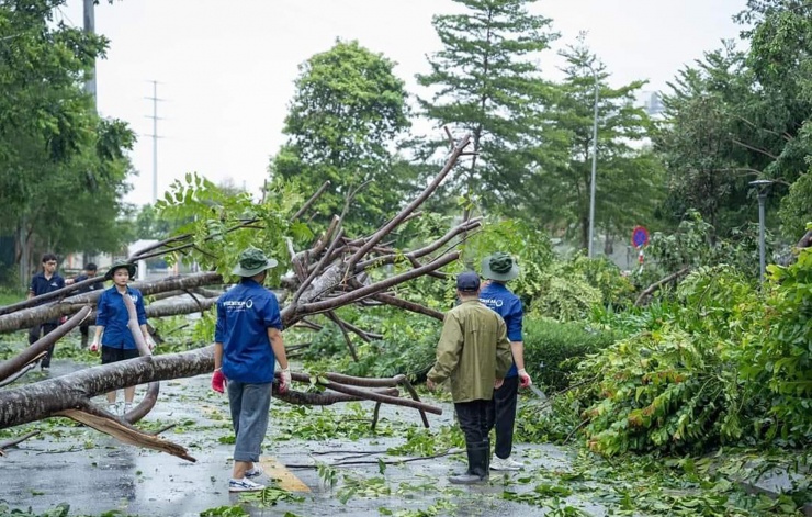 Trường học tại Hà Nội tốc mái, cây xanh đổ gãy tan hoang sau bão - 9