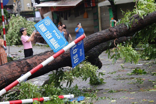 Bão số 3 tàn khốc: 9 người tử vong, hàng nghìn cây xanh bật gốc, thiệt hại nghiêm trọng về nông nghiệp và cơ sở hạ tầng