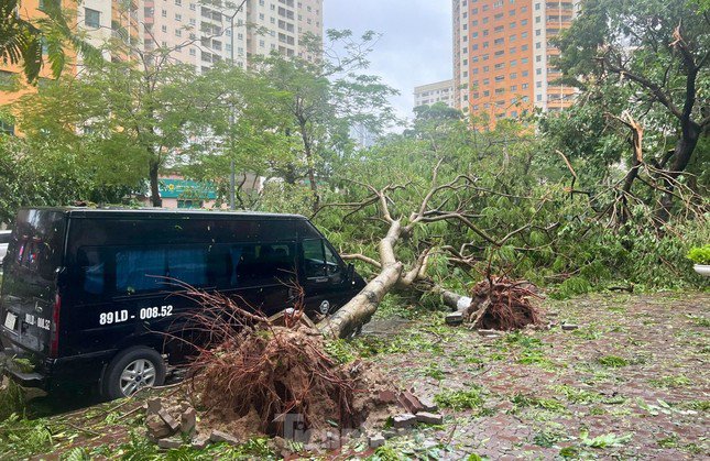 Thảm họa bão số 3 tàn phá miền Bắc, nhiều người tử vong và thiệt hại nghiêm trọng