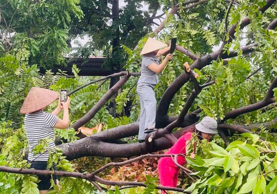 Trường học tại Hà Nội tốc mái, cây xanh đổ gãy tan hoang sau bão - 21