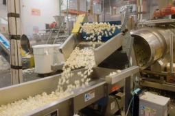 Kinh doanh - Nghỉ việc ở tuổi 52, chi hơn 6 tỷ đồng mua lại công ty trên bờ vực phá sản và kết quả khó tin