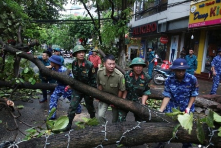 Hà Nội khẩn trương khắc phục hậu quả sau bão Yagi, dọn dẹp cây gãy đổ, cứu hộ ô tô