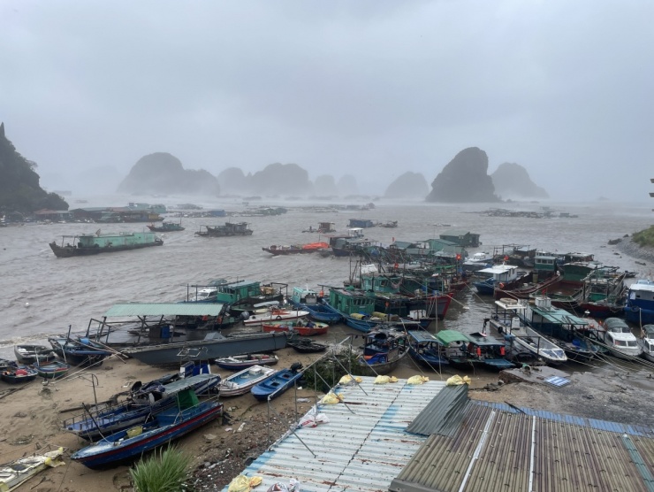 Cảng Cái Rồng, thị trấn Cái Rồng, huyện Vân Đồn là nơi trú tránh bão của tàu cá, các bè nuôi trồng thủy sản trên vịnh Hạ Long.