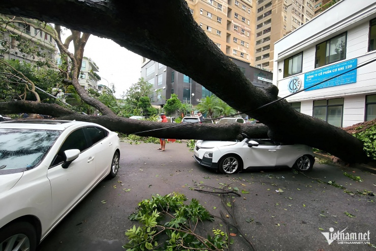 Cơn bão Yagi: Siêu bão bất thường gây thiệt hại nặng nề miền Bắc