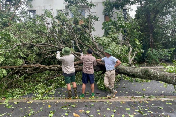 Xuân Bắc cùng con trai Bi béo xuống đường hỗ trợ lực lượng chức năng dọn cây đổ sau bão ngày 8/9.