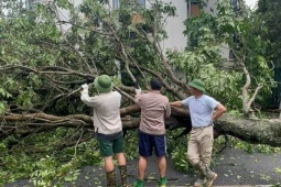 Đàn ông - Xuân Bắc cùng hai con dọn cây đổ sau bão