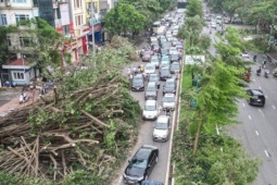 Tin tức trong ngày - Đường phố Hà Nội vẫn ngổn ngang cây đổ, người dân 'vượt ải' ùn tắc đến công sở