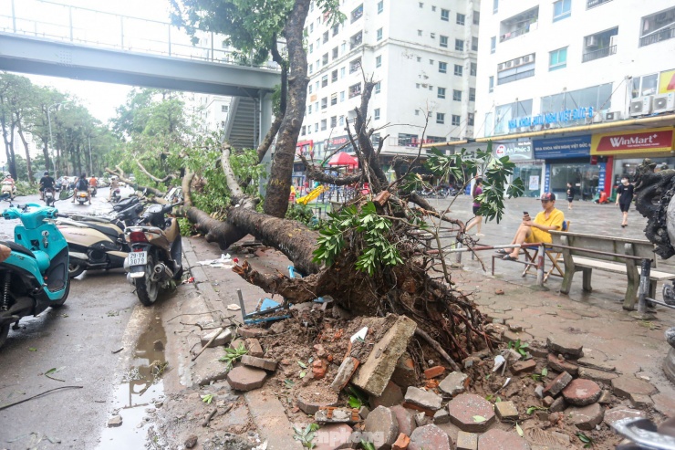 Cảnh khu đô thị, khu chung cư hoang tàn sau bão - 3