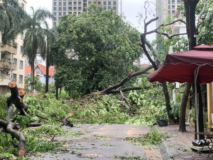 Hà Đông ngập sâu sau cơn mưa lớn, giao thông tê liệt