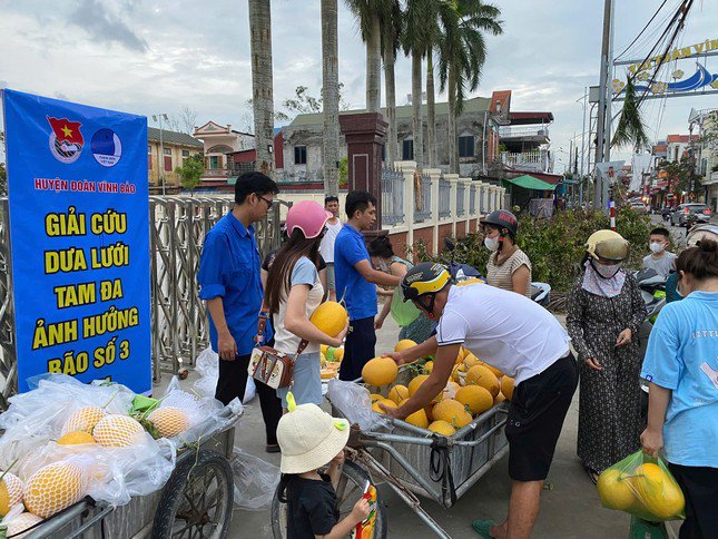 Ảnh: Huyện Đoàn Vĩnh Bảo