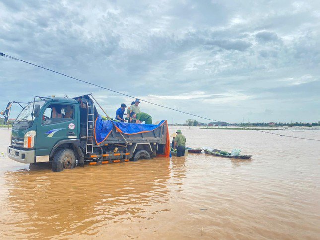 Nhiều diện tích dưa chưa kịp thu hoạch vẫn "nằm" trong "biển nước" được các chiến sĩ thu hoạch sau cơn bão. Ảnh: Xuân Xuân