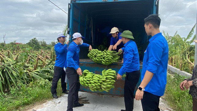 Đoàn thanh niên hỗ trợ nông dân "giải cứu" nông sản bị thiệt hai sau cơn bão 3 - 7