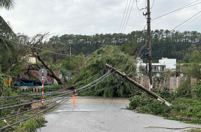 Cột điện gãy đổ ở Đồ Sơn, Hải Phòng. Ảnh: Anh Phú