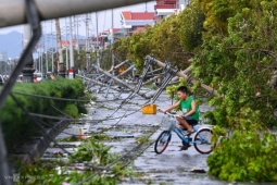 Tin tức trong ngày - Hải Phòng, Quảng Ninh nhường 200 tỷ đồng cho địa phương khác khắc phục hậu quả bão Yagi