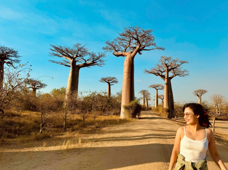 Vẻ đẹp kỳ diệu của "cây lộn ngược" ở Madagascar qua lăng kính của du khách Việt - 2