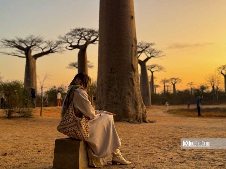 Khung cảnh hoàng hôn kỳ diệu ở Madagascar (Ảnh: Sơn Nguyễn - Ninh Lee).