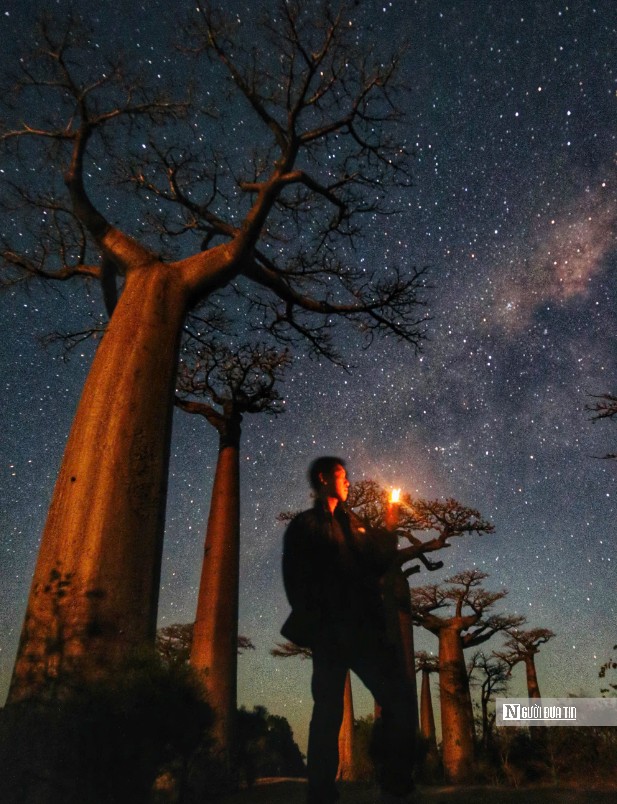 Khi màn đêm buông xuống, đại lộ baobab lại khoác lên mình một diện mạo hoàn toàn khác. Những ánh sao như những viên kim cương (Ảnh: Sơn Nguyễn - Ninh Lee).
