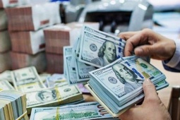 Kinh doanh - Tỷ giá USD hôm nay 11/9/2024: Vẫn tăng?