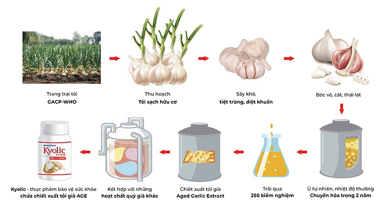 Quy trình tạo nên dịch chiết tỏi già AGE được cấp bằng sáng chế độc quyền tại 20 quốc gia trên thế giới