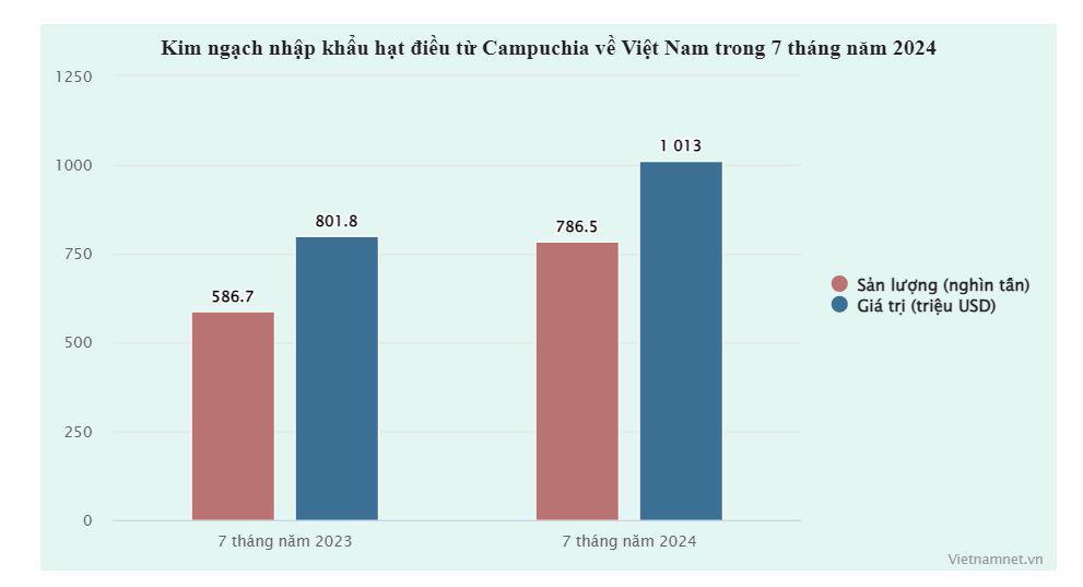 Việt Nam chi 1 tỷ USD bao mua gần như toàn bộ hạt điều từ quốc gia này - 1