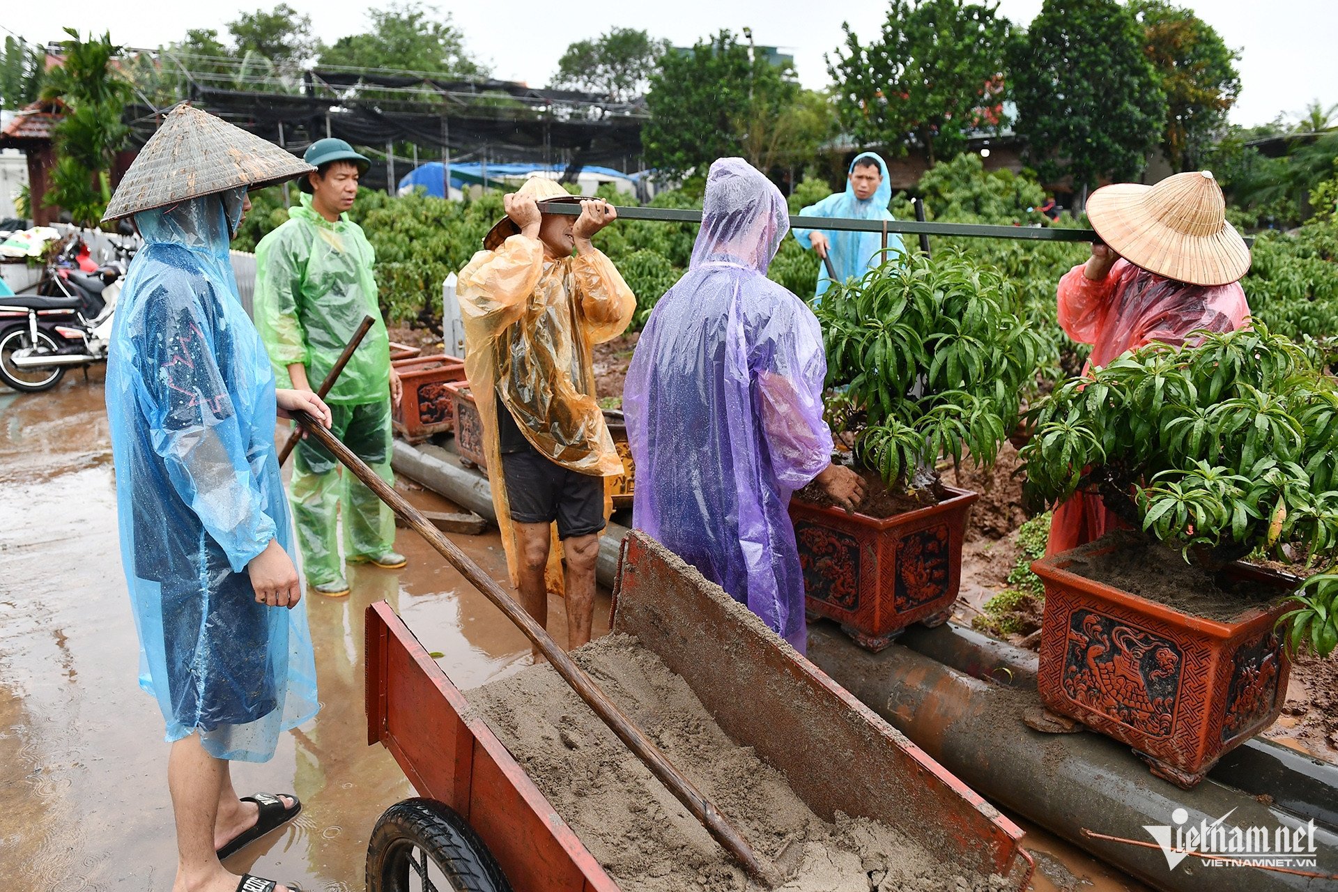 Hà Nội khẩn cấp đối phó với mực nước sông Hồng dâng cao, người dân ngoài đê di dời khẩn cấp